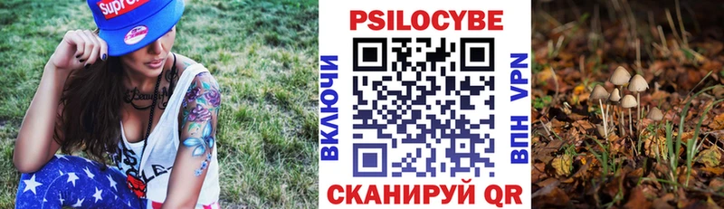 где продают наркотики  Сосенский  Галлюциногенные грибы Cubensis 