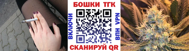 Канабис сатива  Сосенский 